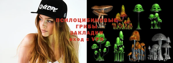 герыч Алзамай